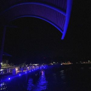 Meet your Posher, Sophie